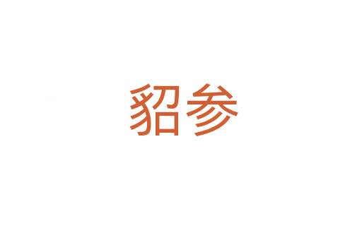 貂参