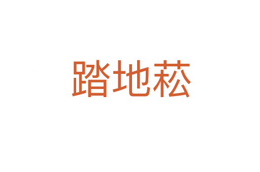 踏地菘