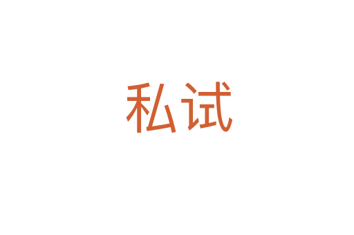 私试