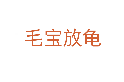 毛宝放龟
