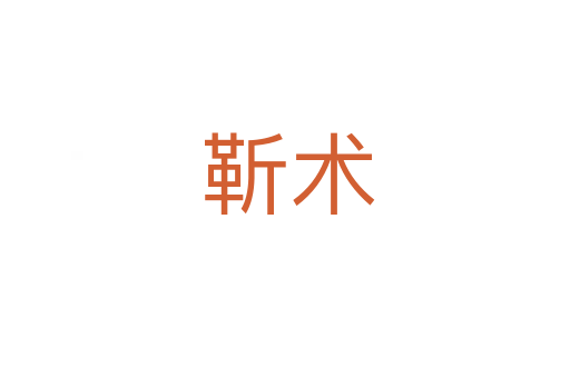 靳术
