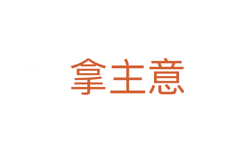 拿主意