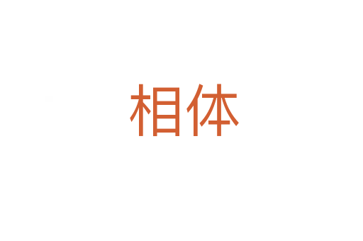 相体