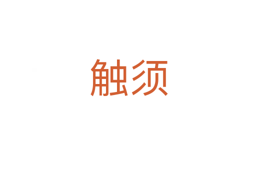 触须