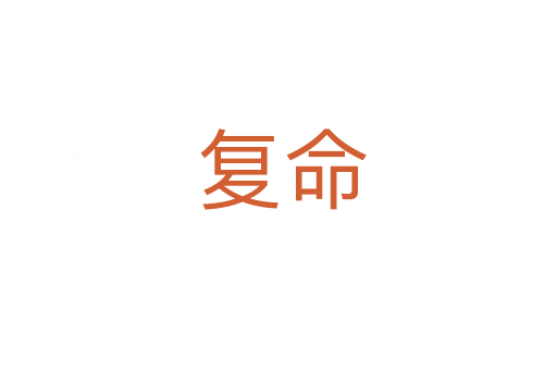 复命