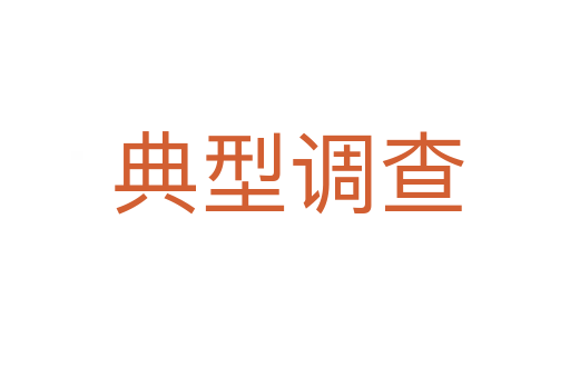 典型调查