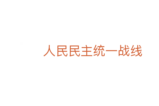 人民民主统一战线