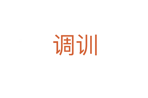 调训