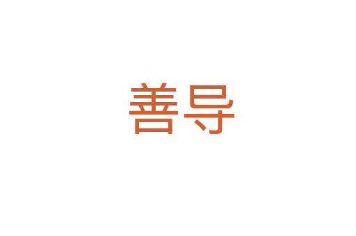 善导