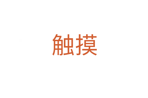 触摸