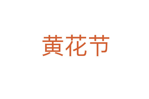 黄花节