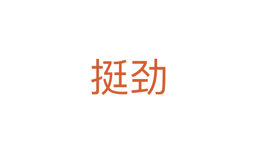 挺劲