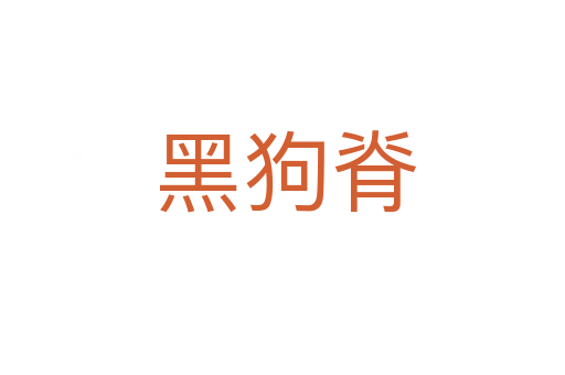 黑狗脊