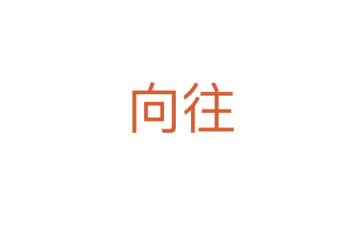 向往
