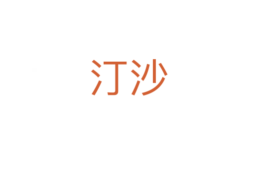汀沙