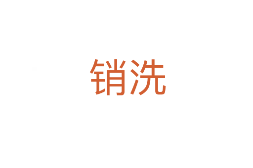 销洗