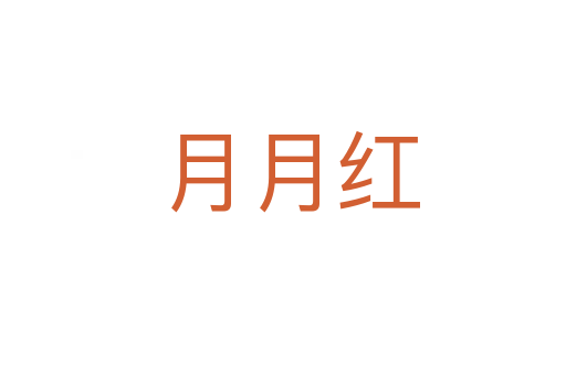 月月红