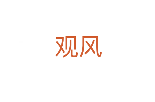 观风