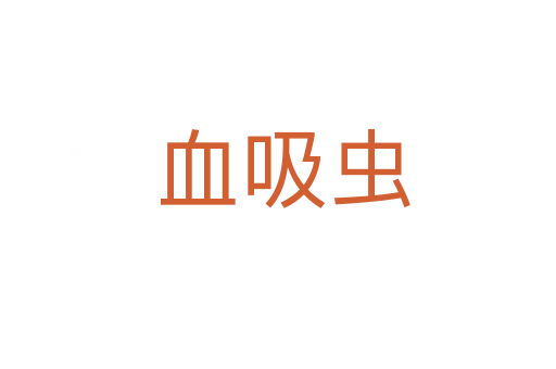 血吸虫