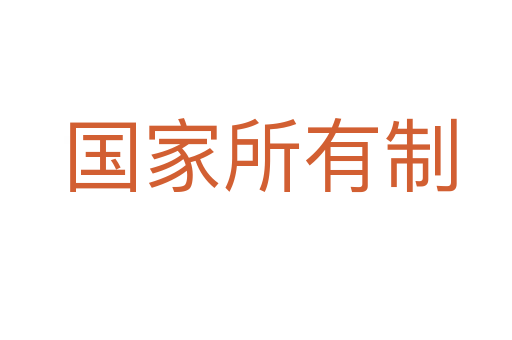 国家所有制