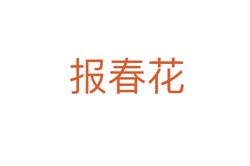 报春花