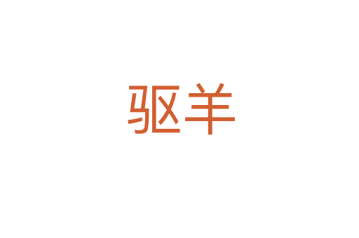 驱羊