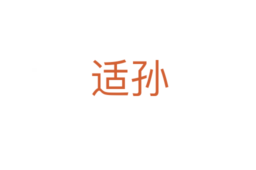 适孙