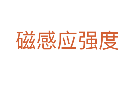 磁感应强度