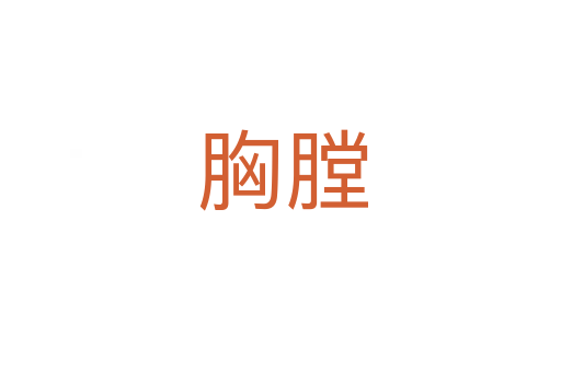 胸膛