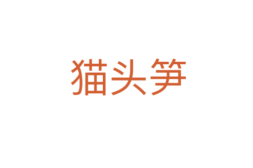 猫头笋