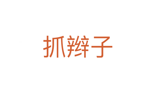 抓辫子