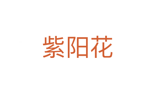 紫阳花