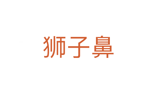 狮子鼻