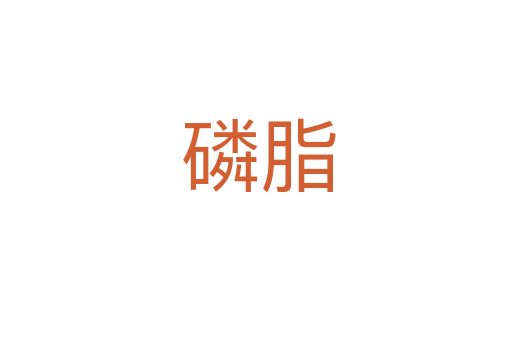 磷脂