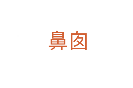 鼻囱