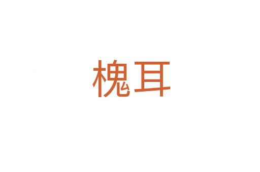 槐耳