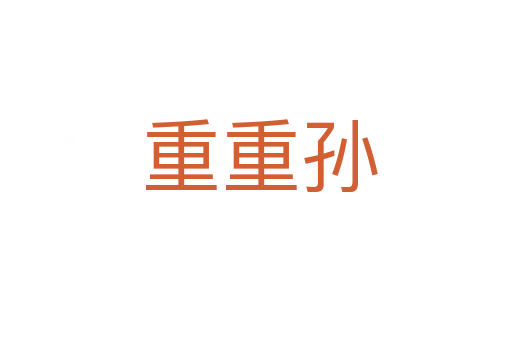 重重孙