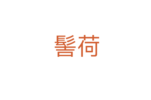 髻荷