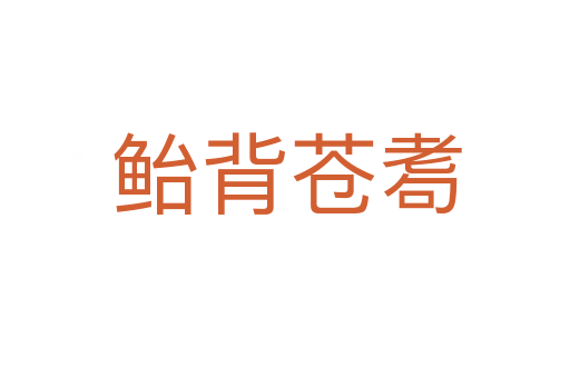 鲐背苍耈
