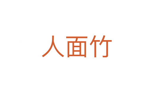 人面竹
