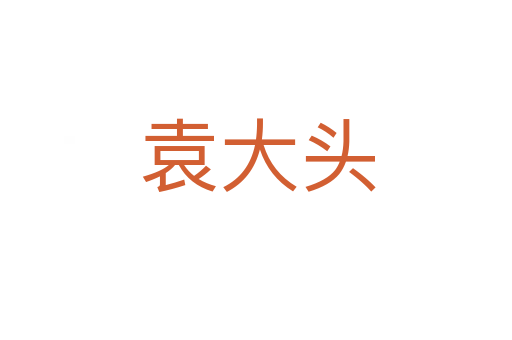 袁大头
