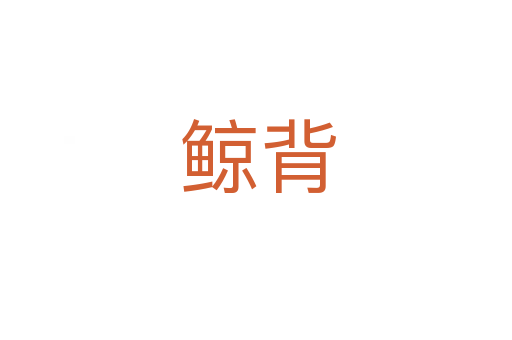 鲸背