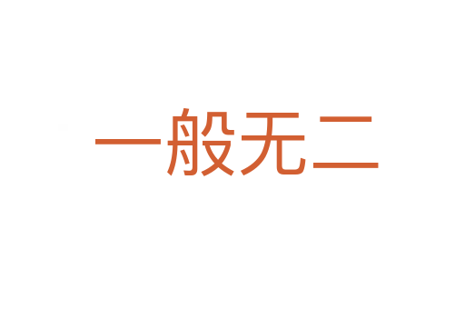 一般无二