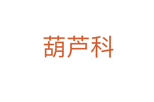 葫芦科