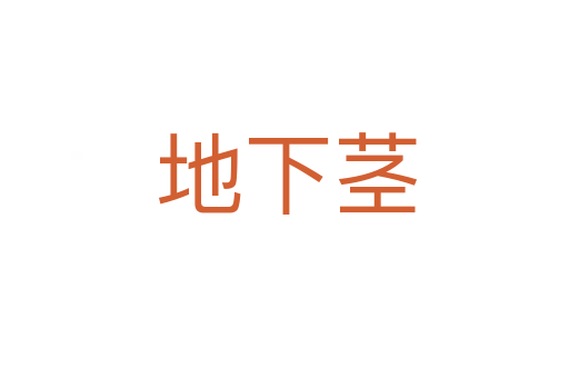 地下茎