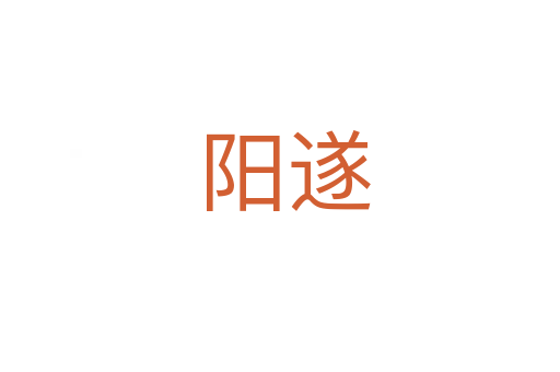 阳遂