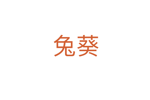 兔葵