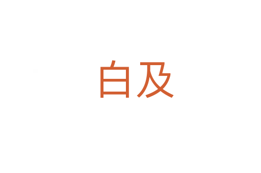 白及