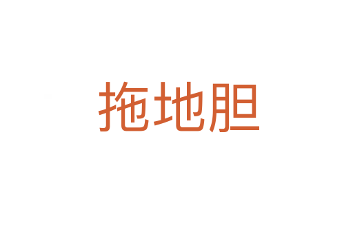 拖地胆
