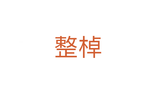整棹